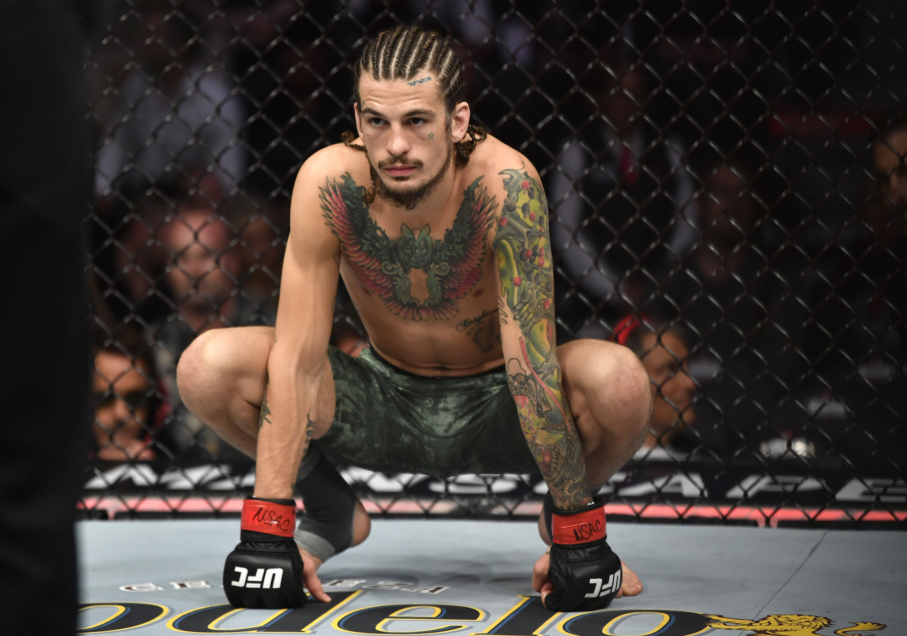Sean O'Malley might be using his hair to play mind games with Marlon Vera.
