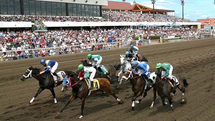 Minnesota horse racing pic