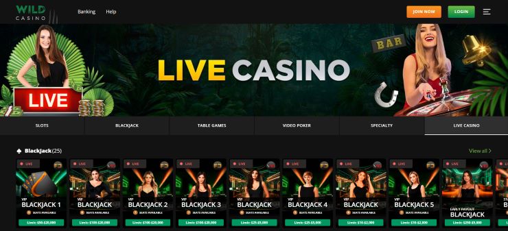 Wild Casino live dealer games section