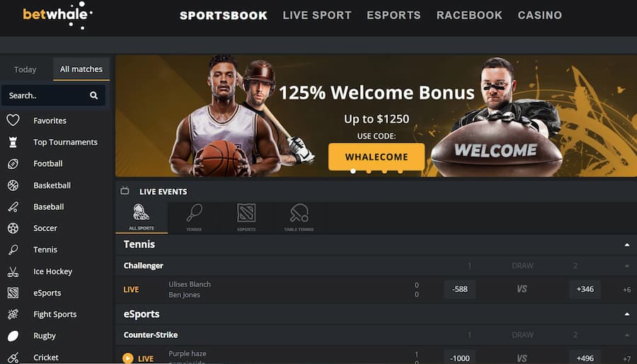 Betwhale - top sportsbook in Florida