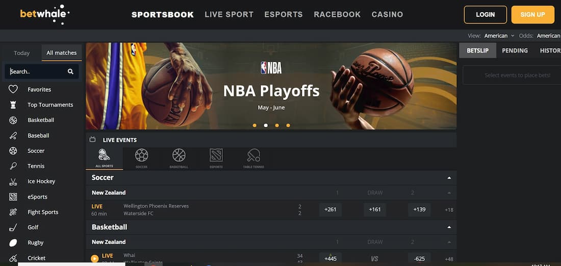 BetWhale sportsbook is a must-try for all live sports betting fans in California