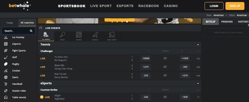 BetWhale - top offshore sportsbook for live betting